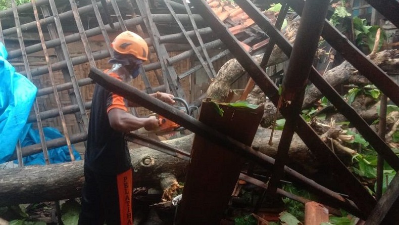 Puting Beliung Terjang Grobogan, Sejumlah Rumah Rusak 