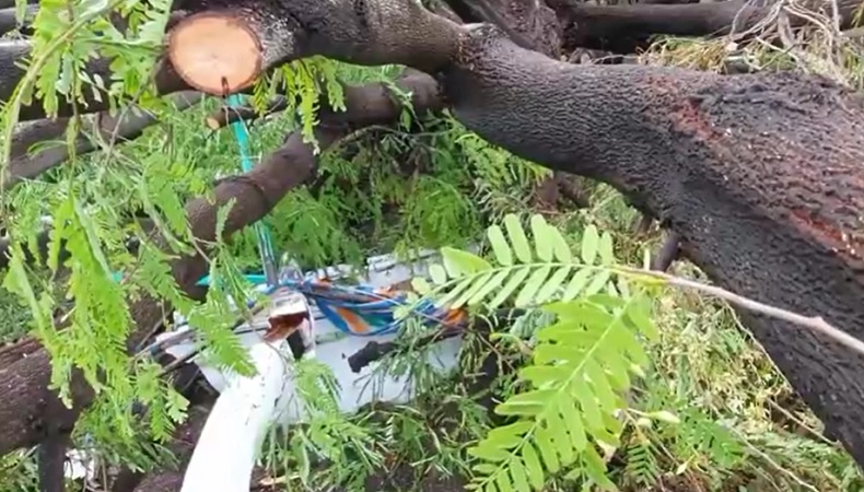 title Pohon Tumbang Hancurkan 4 Perahu dan Rumah Nelayan di Karangasem Pohon Tumbang Hancurkan 4 Perahu dan Rumah Nelayan di Karangasem