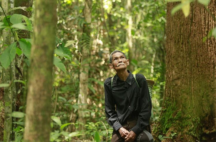  Angkat Isu Hutan Adat, Film Dokumenter The Flame Resmi Diputar di Bioskop
