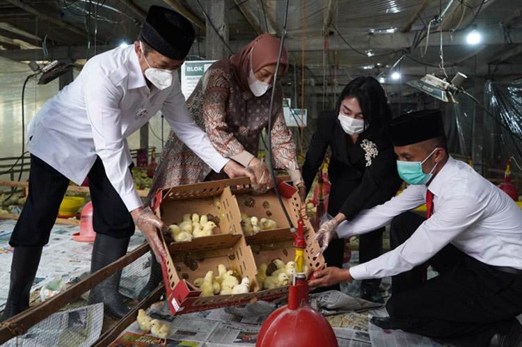 title Entaskan Kemiskinan, Baznas Luncurkan Program Balai Ternak Kelompok Unggas di Purworejo Entaskan Kemiskinan, Baznas Luncurkan Program Balai Ternak Kelompok Unggas di Purworejo
