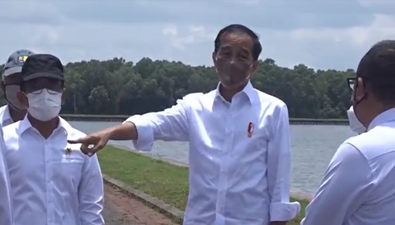 Kunjungi Tahura Ngurah Rai, Jokowi Akan Pamerkan Hutan Mangrove ke Pemimpin G20