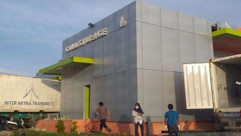 Tingkatkan Ekonomi Nelayan, Belitung Ekspor 7,5 Ton Cumi-Cumi ke Singapura