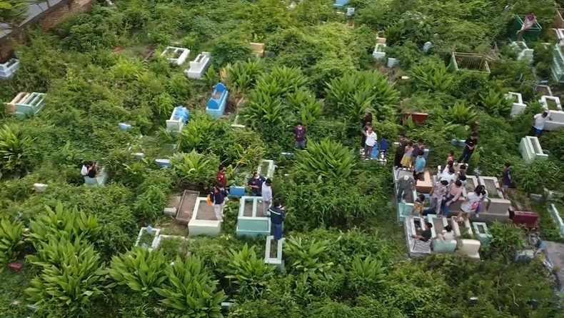 Makassar Gempar, Mayat Bayi Diperebutkan 10 Ekor Anjing di Area Perkuburan