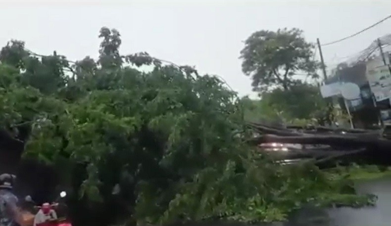 Banjir Kepung Denpasar, Pohon Tumbang di Jalan Sesetan, 3 Mobil Terperosok Longsor