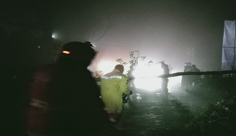 Lalu Lintas Jalan Nasional Cugenang-Puncak Cianjur Lumpuh akibat Pohon Tumbang