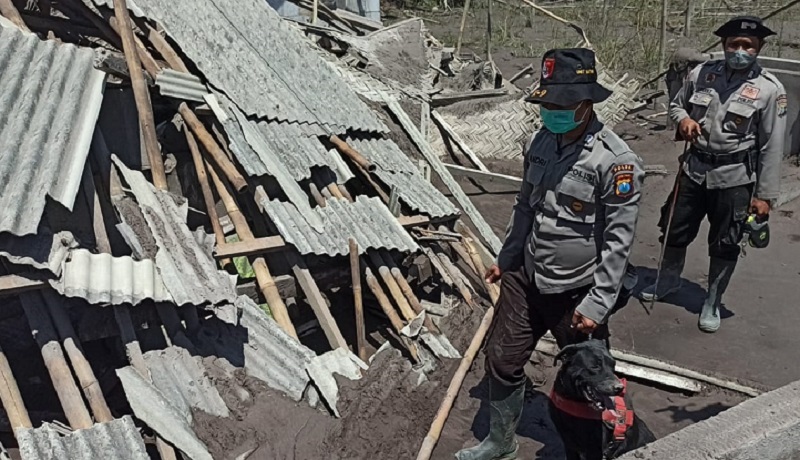 Cegah Penjarahan, Tim Patroli Polda Jatim Sisir Rumah Warga Korban Erupsi Gunung Semeru