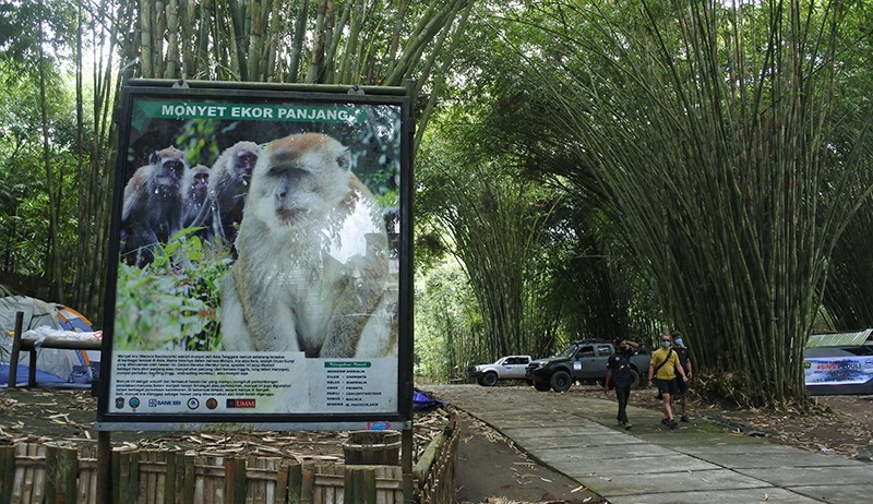 Kawasan Wisata Hutan Bambu Lumajang Jadi Posko Relawan Bencana Gunung Semeru - Bagian 2