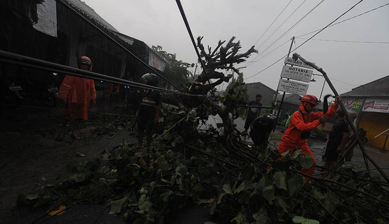 BMKG Imbau Masyarakat Waspada Potensi Hujan Lebat dan Angin Kencang - Bagian 3