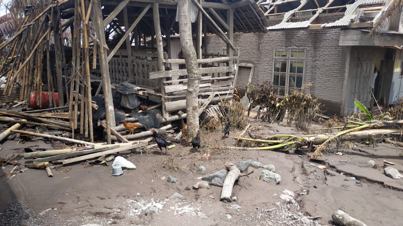 Marak Penjarahan Hewan Ternak dan Barang Pengungsi Erupsi Semeru, Polisi Perketat Penjagaan