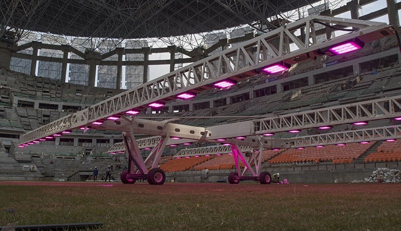 Merawat Rumput Lapangan JIS dengan Teknologi Pencahayaan Ultraviolet - Bagian 3