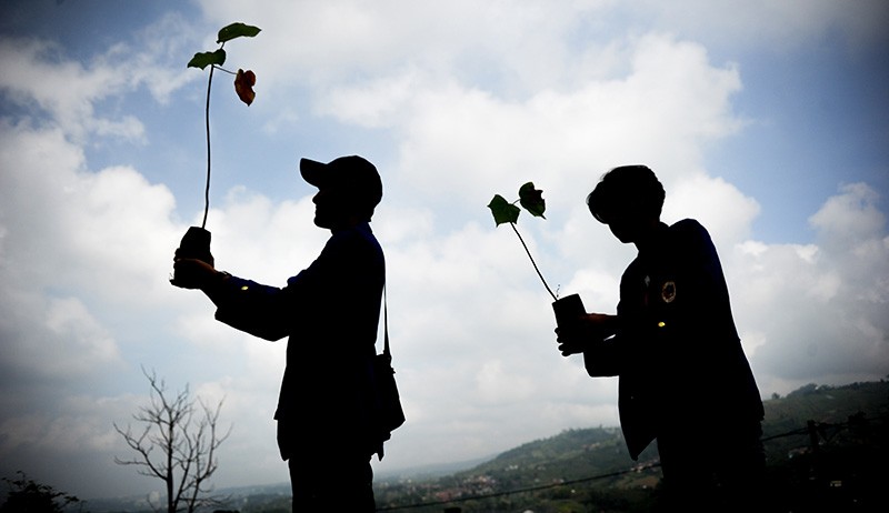 Penanaman Pohon di Jawa Barat Melampaui Target - Bagian 1