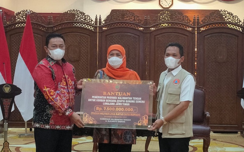 Wagub Kalteng Serahkan Bantuan Kemanusiaan Bencana Erupsi Gunung Semeru