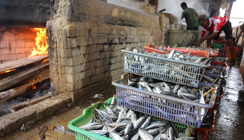 Melihat Pembuatan Ikan Asin di Permukiman Nelayan Muara Angke - Bagian 2