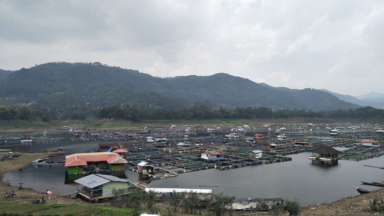 Pada 2021, Produksi Ikan Air Tawar di Bandung Barat Tembus 202 Juta Ton