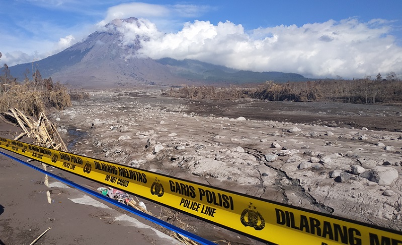 Kisah Pilu Petani Cabai di Supiturang, Gagal Panen karena Tanaman Habis Tertimbun Abu Semeru 