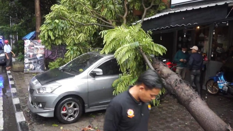 Pohon Tumbang Timpa Mobil Di Bandung Akibat Diterpa Hujan Deras Dan Angin Kencang 9192