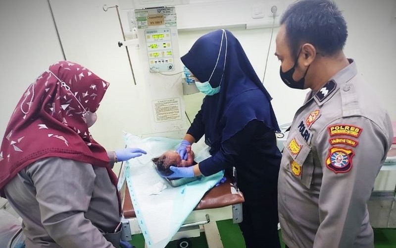 Penemuan Bayi Hidup di Semak-Semak, Lengan Patah hingga Dikerubuti Serangga