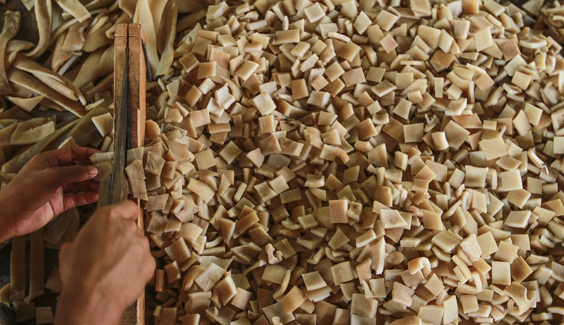 Realisasi Penyaluran KUR UMKM Capai Rp262,95 Triliun - Bagian 3