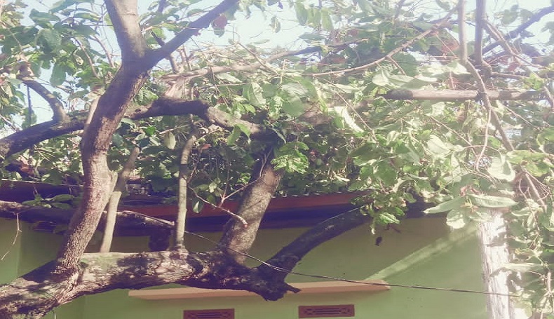 Diterjang Puting Beliung, Atap Puluhan Rumah di Karawang Beterbangan