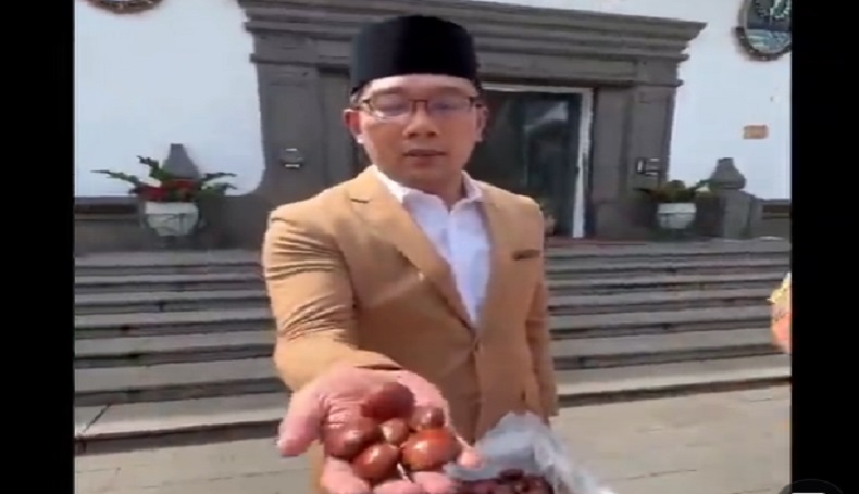 Wow Keren, Jengkol dari Jabar Go Internasional, Ridwan Kamil: Selera Dunia 