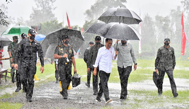 Presiden Jokowi Basah Kuyup saat Tanam Cabai di Food Estate Desa Lamuk - Bagian 3
