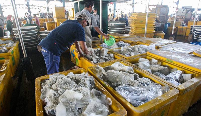 Melihat Aktivitas Pedagang Pasar Ikan Muara Angke yang Tak Pernah Putus - Bagian 2