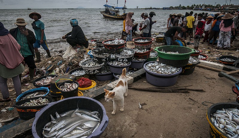 Target Konsumsi Ikan Nasional Sebesar 62,05 Kilogram per Kapita - Bagian 2