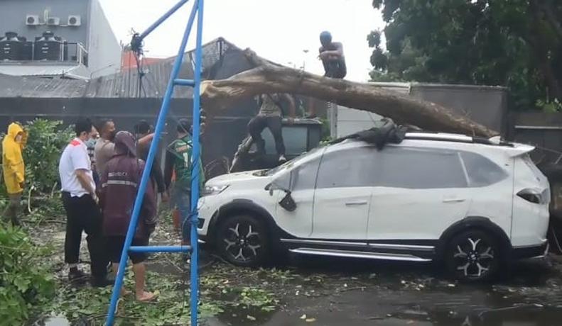 Hujan Deras Dan Angin Kencang Terjang Surabaya Pohon Tumbang Timpa 2 Mobil