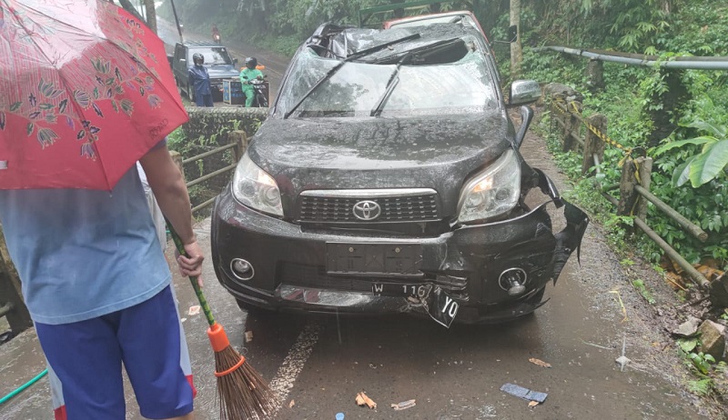 Pengemudi Toyota Rush di Mojokerto Tewas Tertimpa Pohon Tumbang