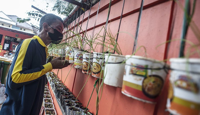 Sampah Plastik Jadi Alternatif Wadah Tanaman Hidroponik - Bagian 2