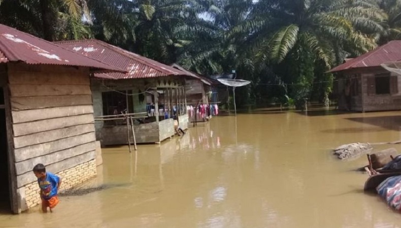 Sungai Batang Toru di Tapsel Meluap, Puluhan Rumah Terendam