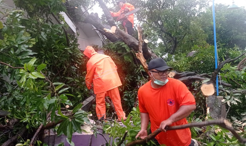 title Angin Puting Beliung Terjang 4 Kecamatan di Madiun, 515 Rumah Rusak 7 Warga Luka Angin Puting Beliung Terjang 4 Kecamatan di Madiun, 515 Rumah Rusak 7 Warga Luka