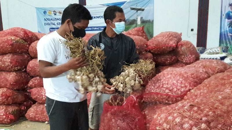 2 Perusahaan Gelar Kontrak Pembelian Bawang Putih di Temanggung