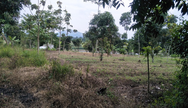 Diduga Lahan Berpindah Tangan, Petani Penggarap di Bantaran Waduk Saguling KBB Terusir
