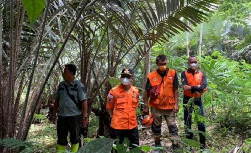 title Tempat Relokasi Korban Erupsi Gunung Semeru Dilengkapi CCTV dan Peternakan Terpadu Tempat Relokasi Korban Erupsi Gunung Semeru Dilengkapi CCTV dan Peternakan Terpadu