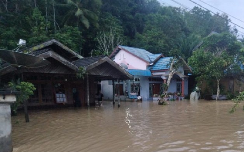 title Diguyur Hujan Lebat, 101 Rumah di Penajam Paser Utara Kaltim Terendam Banjir Diguyur Hujan Lebat, 101 Rumah di Penajam Paser Utara Kaltim Terendam Banjir