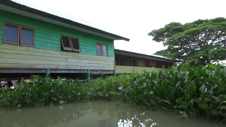 Banjir di Wajo, Rumah-Rumah Warga Dipadati Eceng Gondok