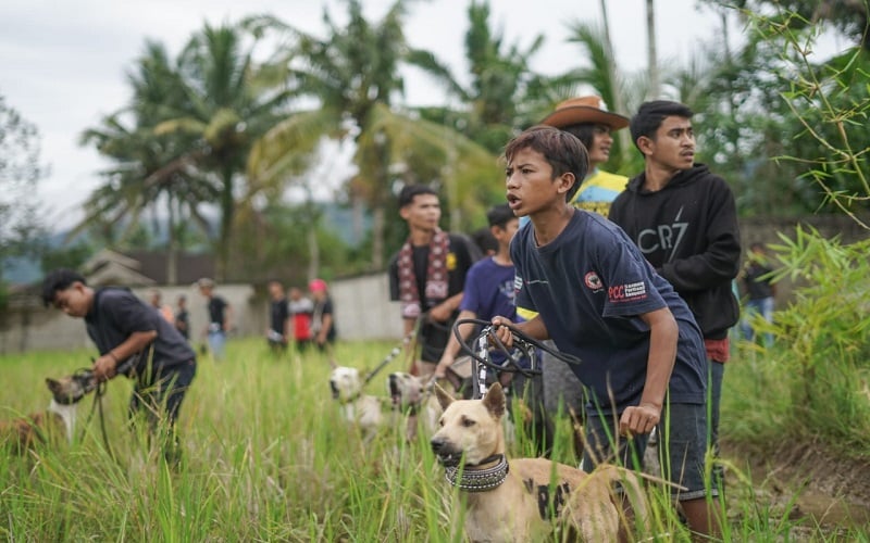 Ratusan Pemburu Lintas Provinsi Kerahkan Anjing Kepung Babi Hutan di Solok Selatan