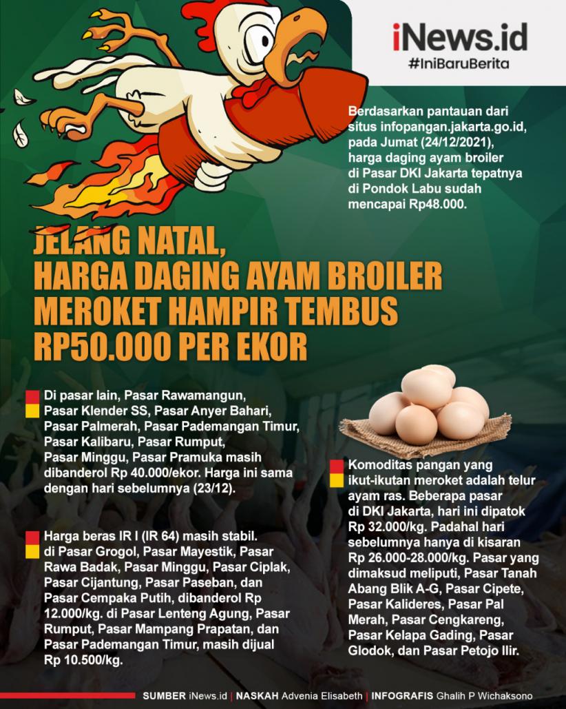 Infografis Harga Daging Ayam Broiler Meroket
