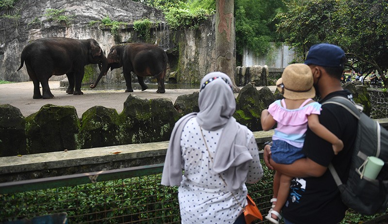 Libur Natal, Pengunjung Taman Margasatwa Ragunan Dibatasi 30.000 Orang - Bagian 3