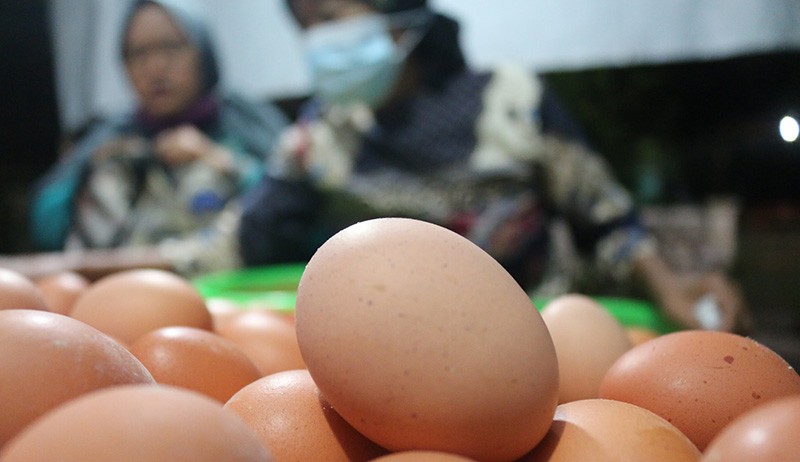Harga Telur Ayam di Bangka Naik Rp2.000 per Butir