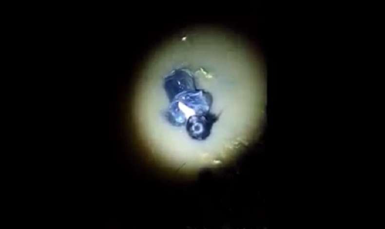 Gunungkidul Gempar, Mayat Perempuan Berkaos Hitam Mengambang di Sungai Dungloke