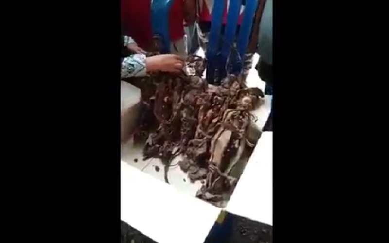 Viral Penemuan 5 Boneka Tertusuk Jarum di Area Permakaman, Warga Duga untuk Santet