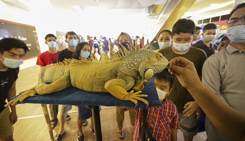 Pameran Reptil di Batam Edukasi Masyarakat untuk Cinta kepada Hewan - Bagian 1