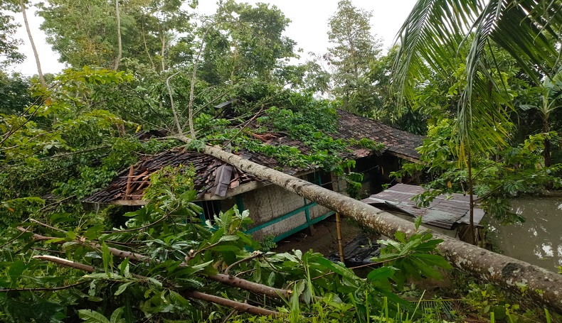 Hujan Es Terjang Pagelaran Cianjur, Rumah Warga Rusak dan Pohon Tumbang