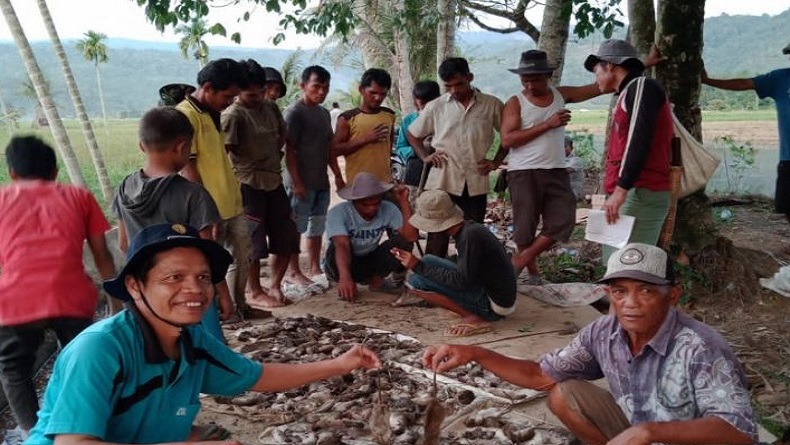 Jelang Musim Tanam, Puluhan Petani di Tapsel Berburu Tikus