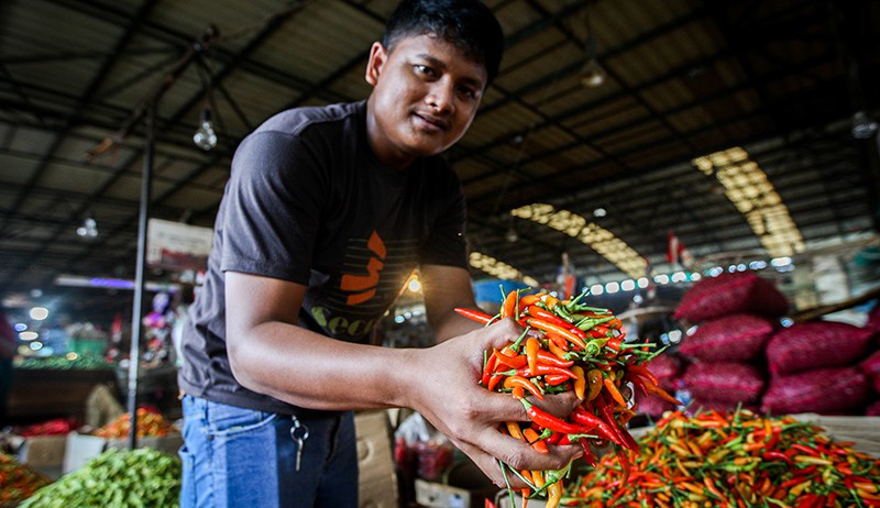 Harga Cabai Rawit Perlahan Turun Menjadi Rp80.000 per Kilogram - Bagian 3