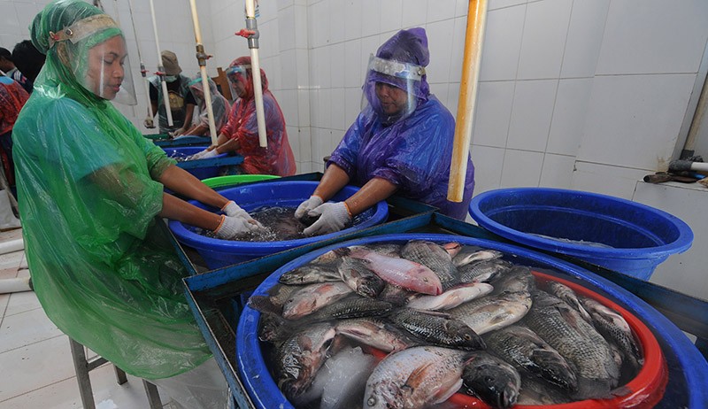 Bisnis Pengolahan Ikan Nila Beku, Sehari Produksi 1,5 Ton - Bagian 1