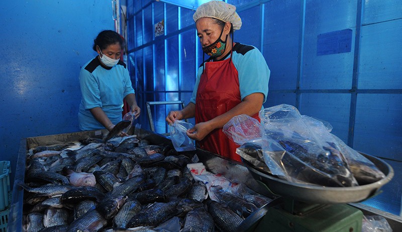 Bisnis Pengolahan Ikan Nila Beku, Sehari Produksi 1,5 Ton - Bagian 2