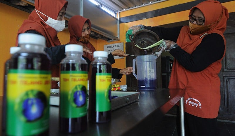 Membuat Minuman Teh Bunga Telang - Bagian 2